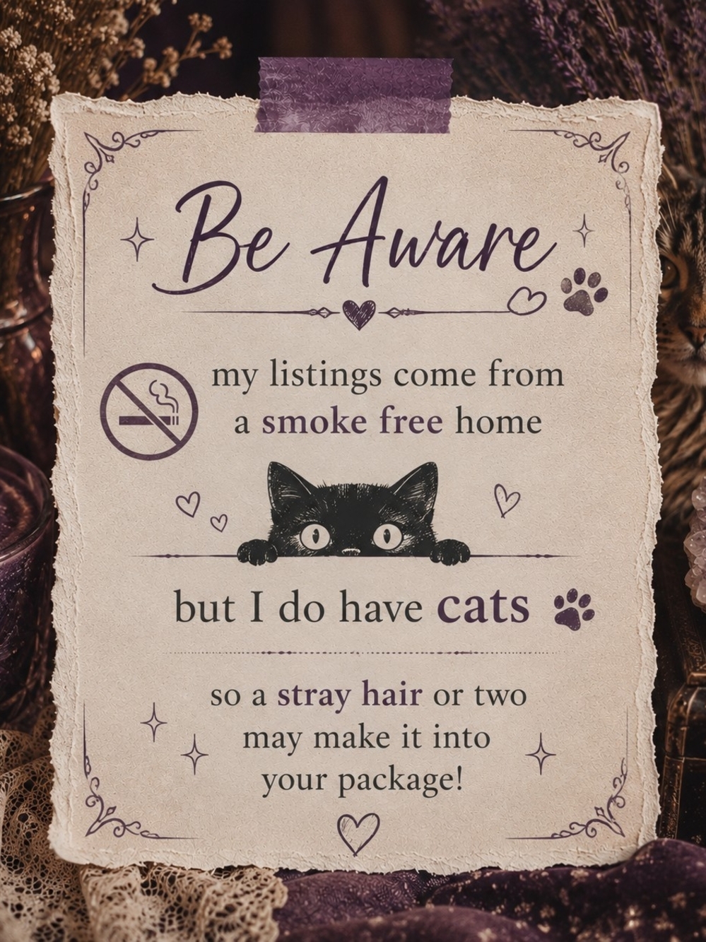 Be Aware Cat-Home 💜